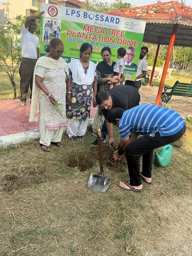 Plantation Drive photo